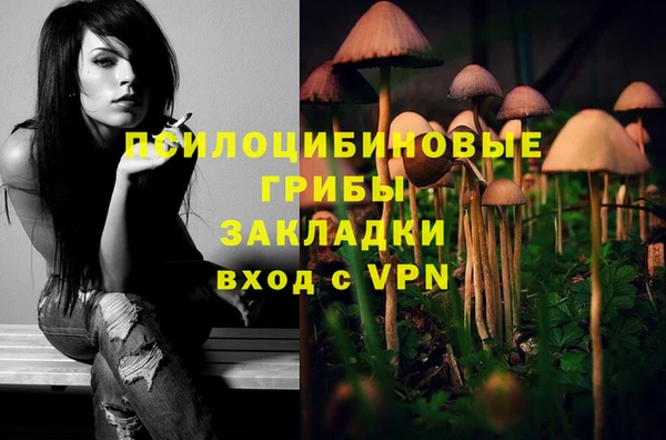 бутират Алексеевка