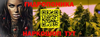 apvp Брянск