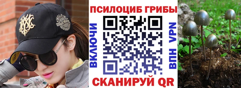 Галлюциногенные грибы Psilocybine cubensis  Курганинск 