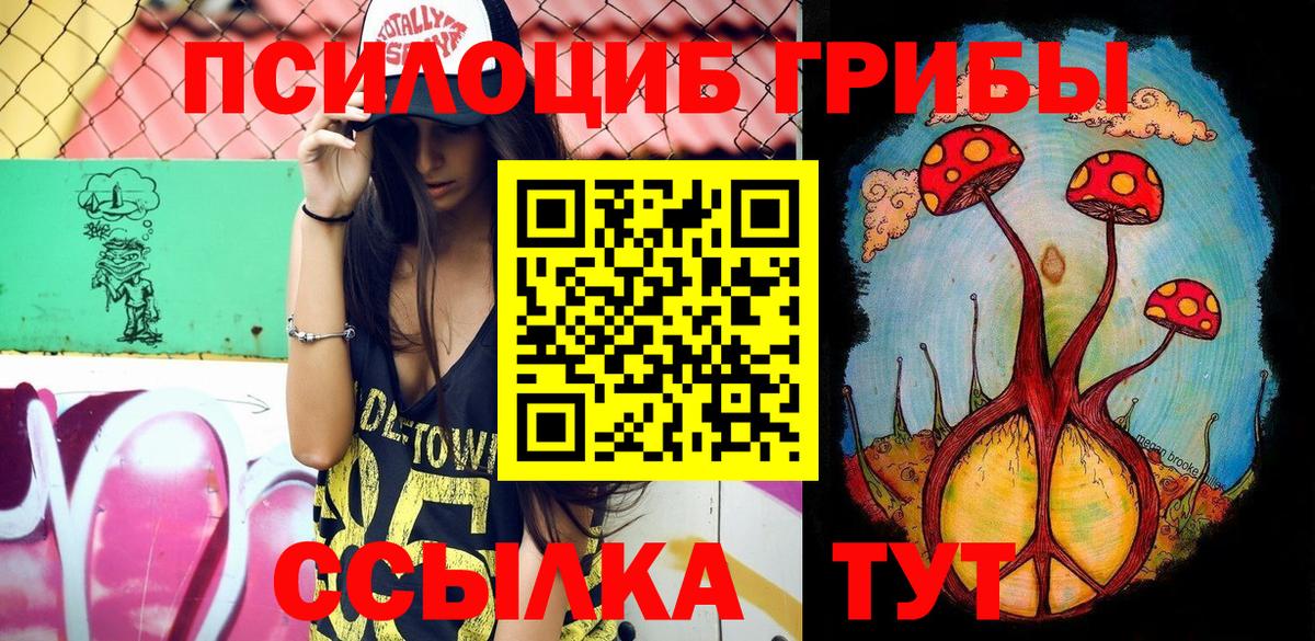 Курганинск  Псилоцибиновые грибы GOLDEN TEACHER  Вход с VPN 