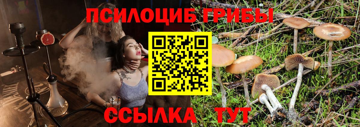 Галлюциногенные грибы Magic Shrooms Курганинск